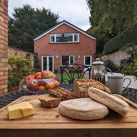 Bt 9 Granny Flat & Walled Garden Belfast Exterior photo