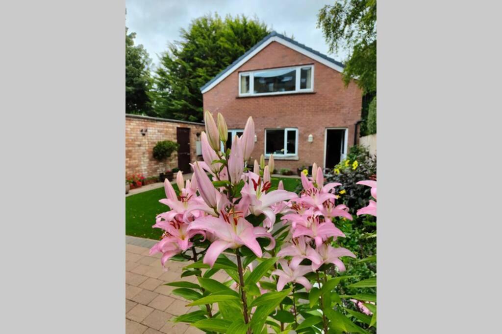 Bt 9 Granny Flat & Walled Garden Apartment Belfast Exterior photo