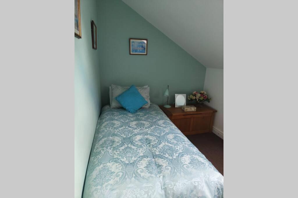 Bt 9 Granny Flat & Walled Garden Belfast Exterior photo